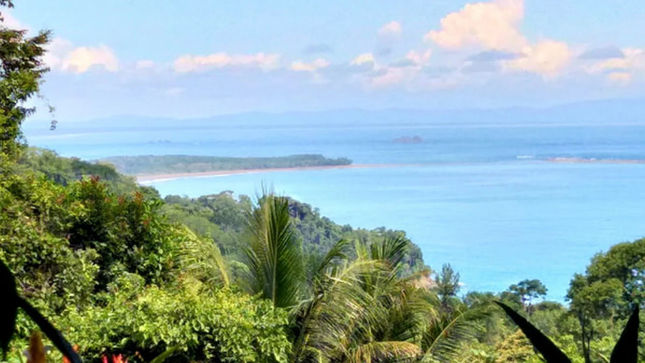Whale's Tail Ocean View Estate with Extra Lot in Between Uvita and Dominical - Gallery image 76