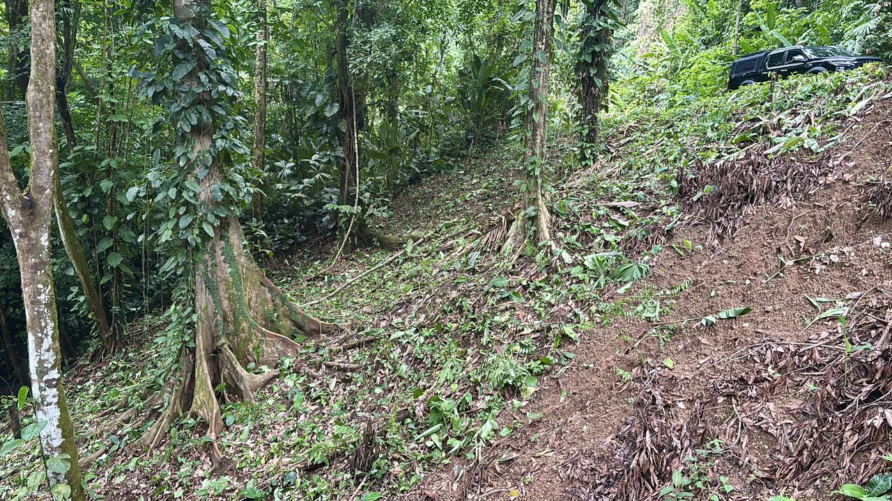 Unique property with creek and waterfall in lush jungle: Mountain Home Construction Site For Sale in Damas - photo 25