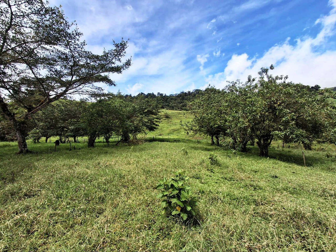 INVESTOR & DEVELOPER ALERT: High-Visibility Investment Property in the Heart of Tourist-Friendly Zarcero - Gallery image 9