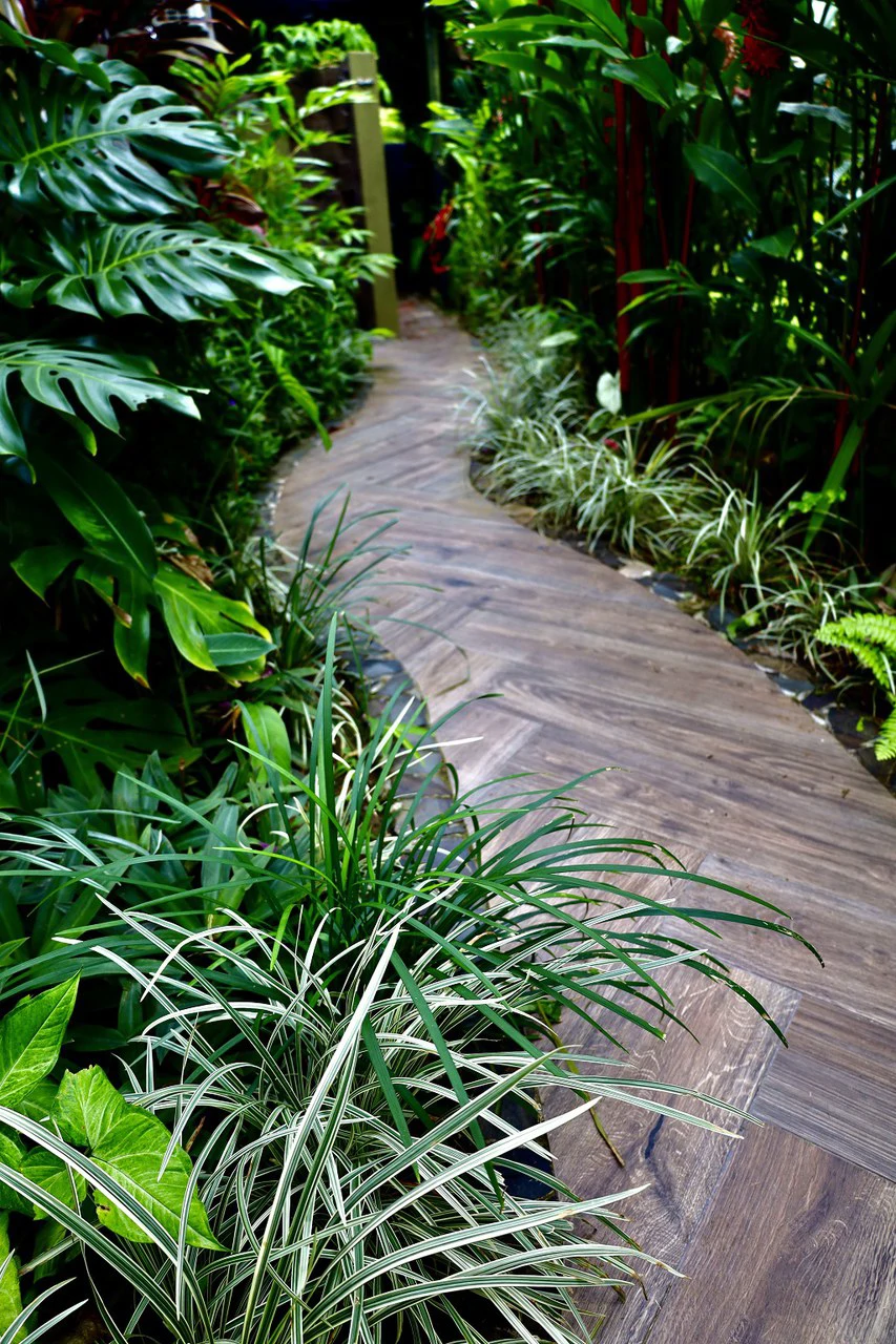 Incredible Casa Verde: Walk to the Beach in Bejuco! - Gallery image 44