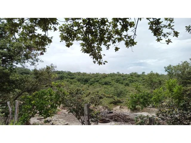 Huge Tico-Farm for sale with a big house in the mountains of Liberia, surrounded by nature and fantastic valley views - Gallery image 29