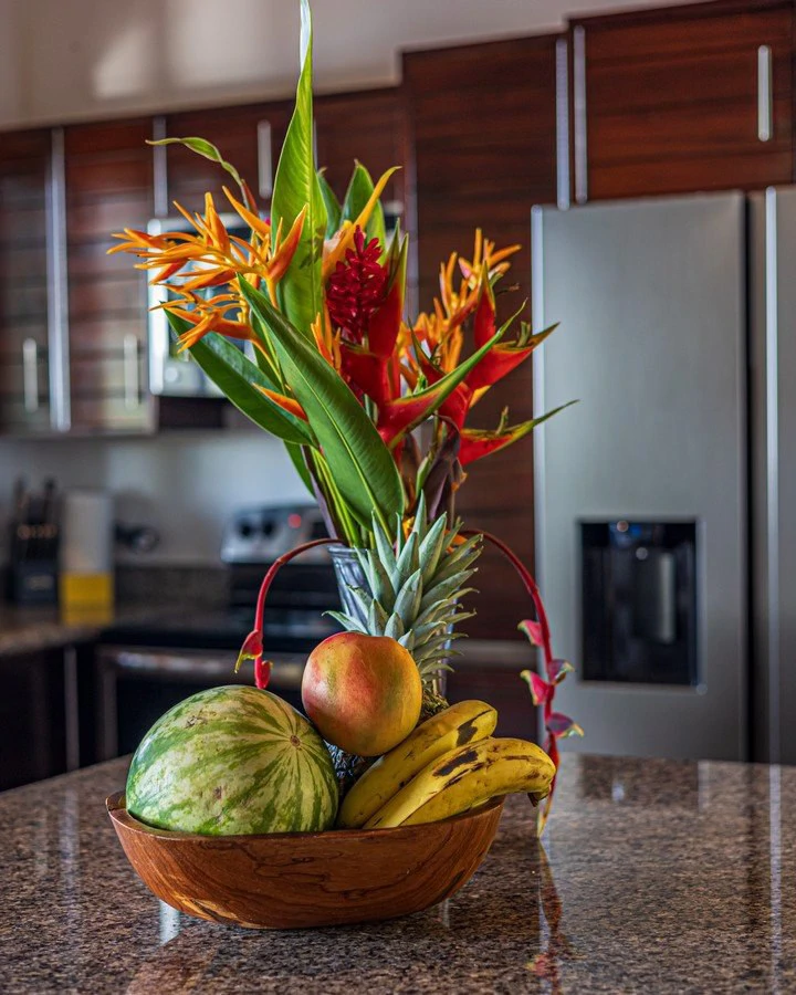 2 ACRES – 2 Bedroom Whales Tale Ocean View Home In Costa Verde Estates Gated Community!!!: 79 ACRES – Amazing Farm On Ridge Top With Whale’s Tail Ocean View And 800 Exotic Tropical Fruit Trees!!!!! - Gallery image 25