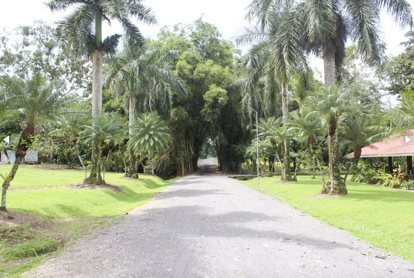 Beautiful Home for Sale with its own Natural Paradise - Gallery image 30
