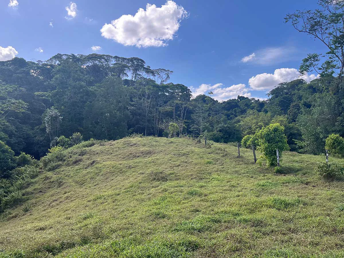ID 4161: Expansive Farm for Sale in Sarapiquí, Heredia: Pastureland, Rivers & Private Fores