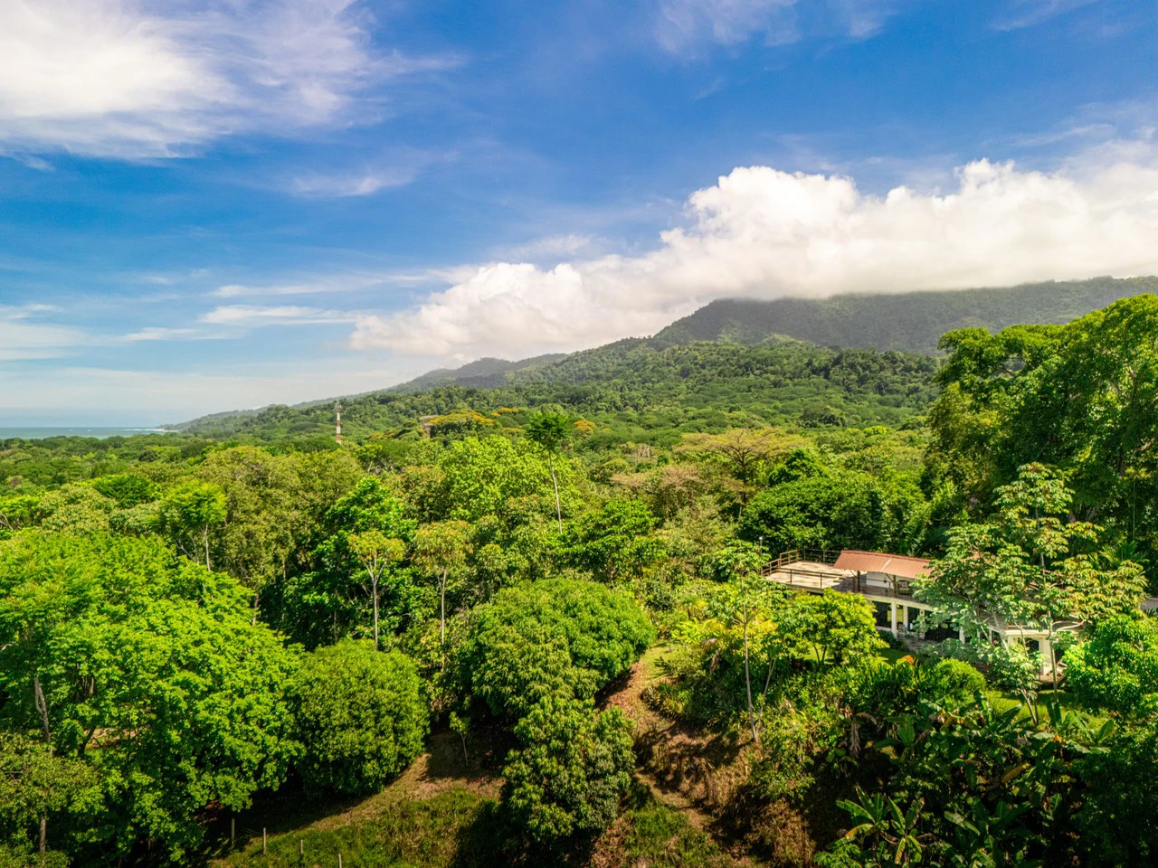Casa Única -: Ocean View Oasis with Commercial Potential in the Heart of Uvita - Gallery image 2