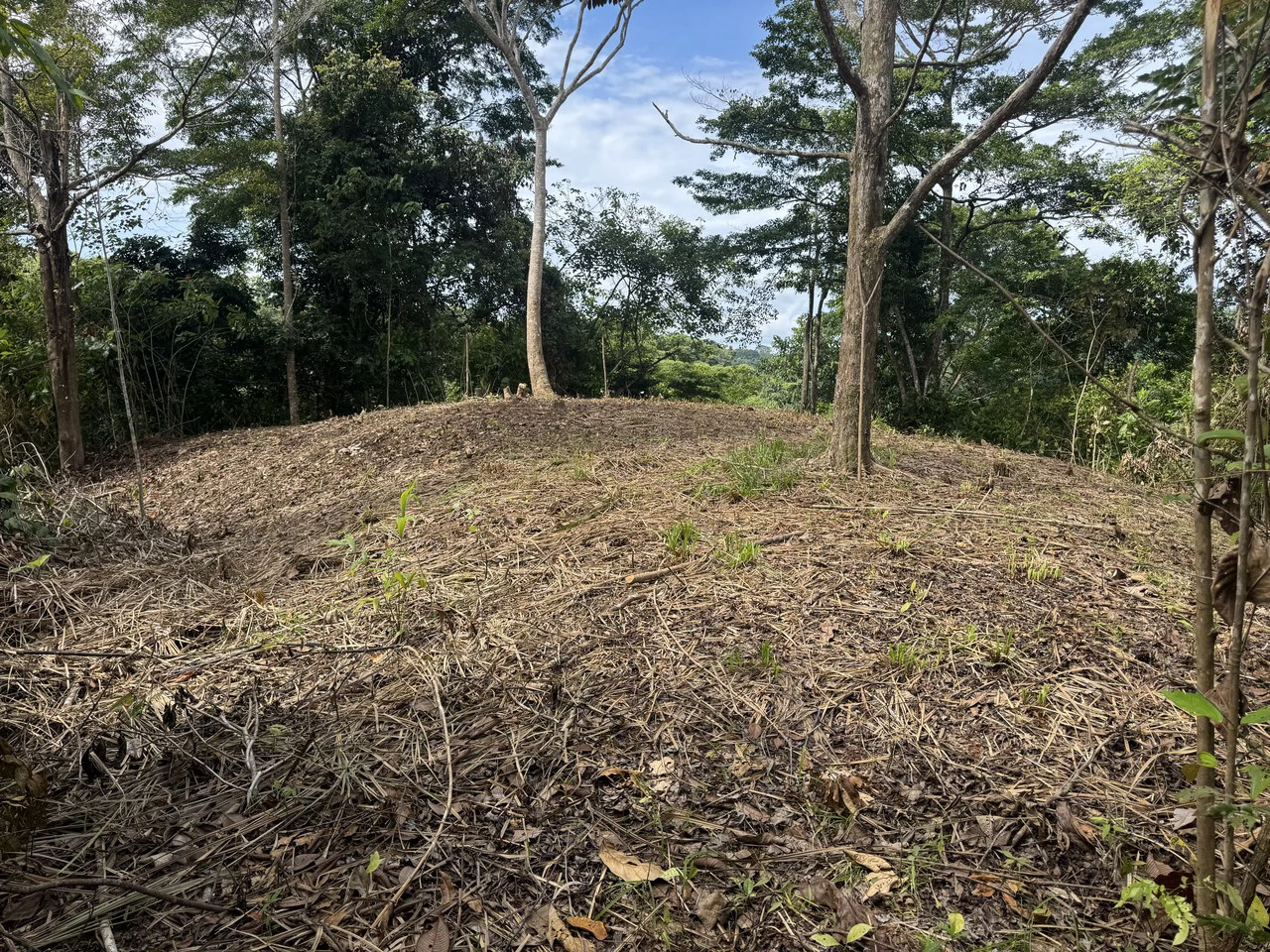 23.5 Acre Waterfall & Riverfront Estate Bahia Ballena Osa Peninsula - Gallery image 6