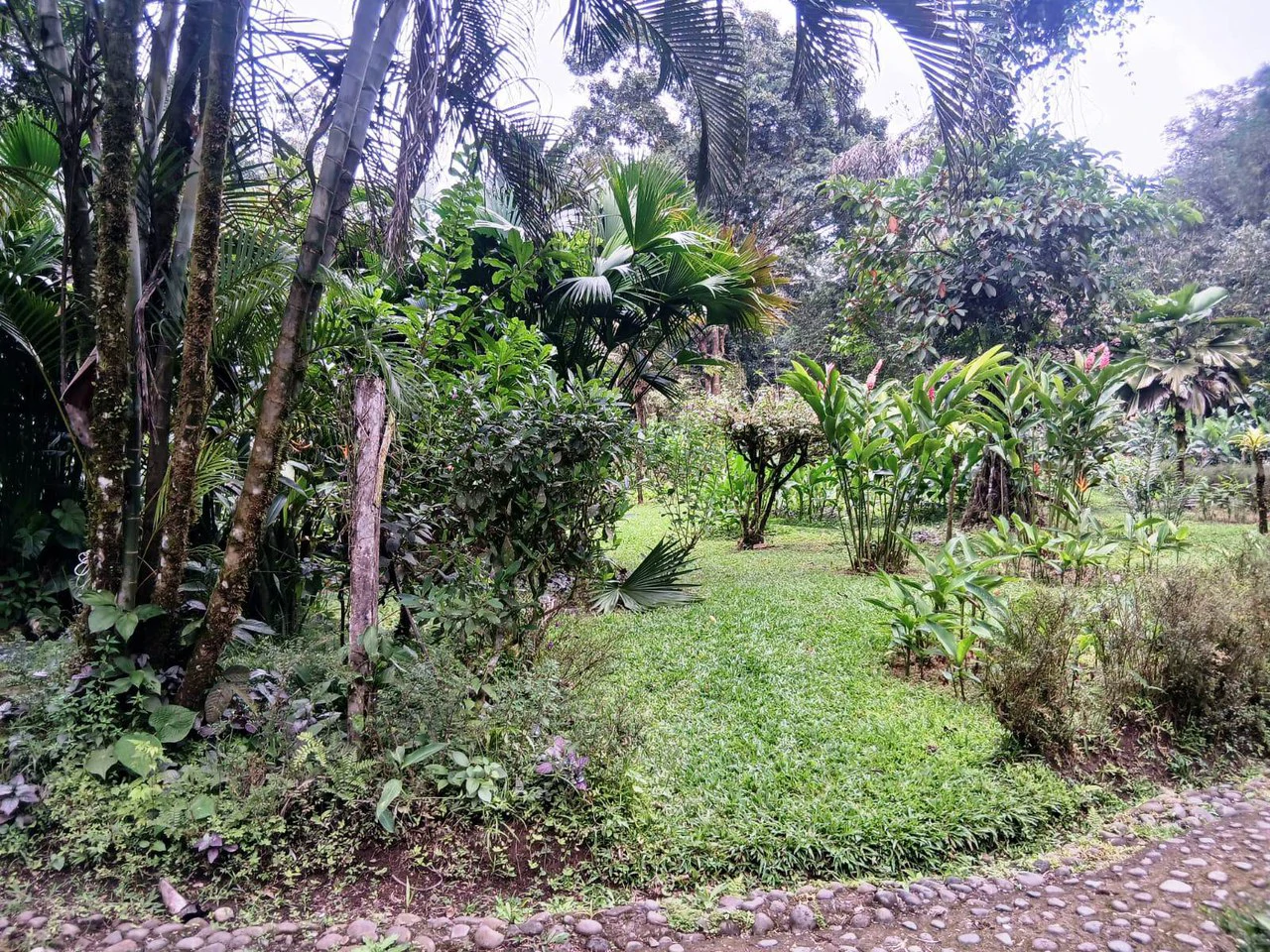 ECO TOURISM PARADISE: Turnkey Boutique Hotel in Nature! - Gallery image 13