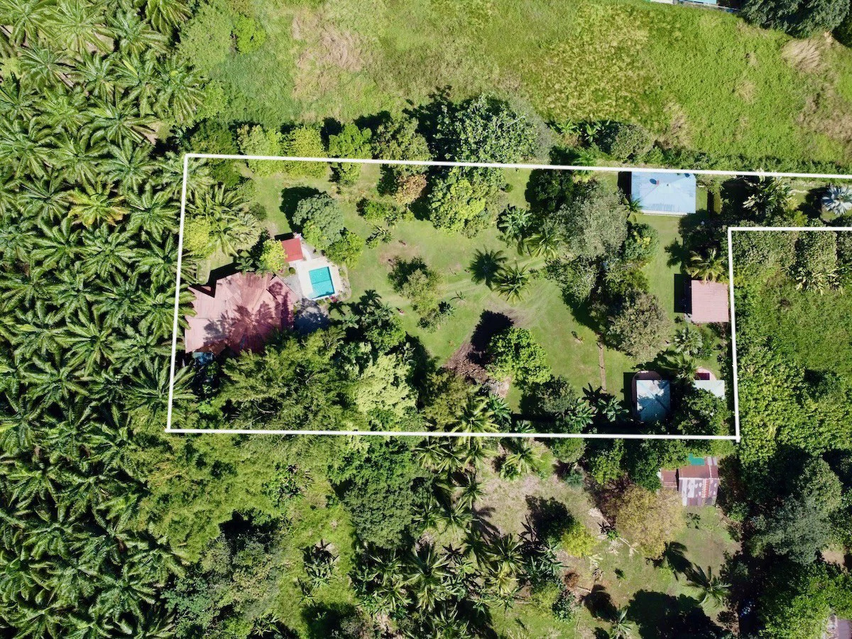 Osa Peninsula Turnkey Property Near Golfo Dulce Beach - Gallery image 2