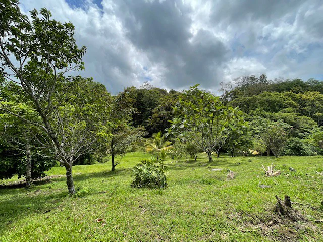 LG-001: Rare 3.36-Acre Lakefront Estate Lot in Nuevo Arenal | Direct Lake Access, Volcano Views & Subdivision Potential - Gallery image 6