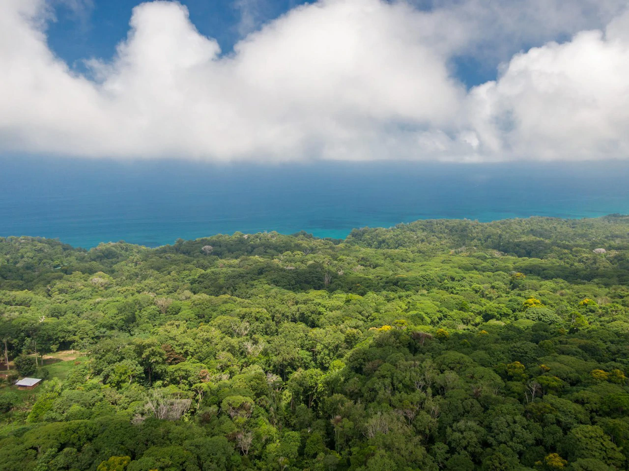 Cabo Matapalo: Jungle View Lot Priced To Sell! - Gallery image 2