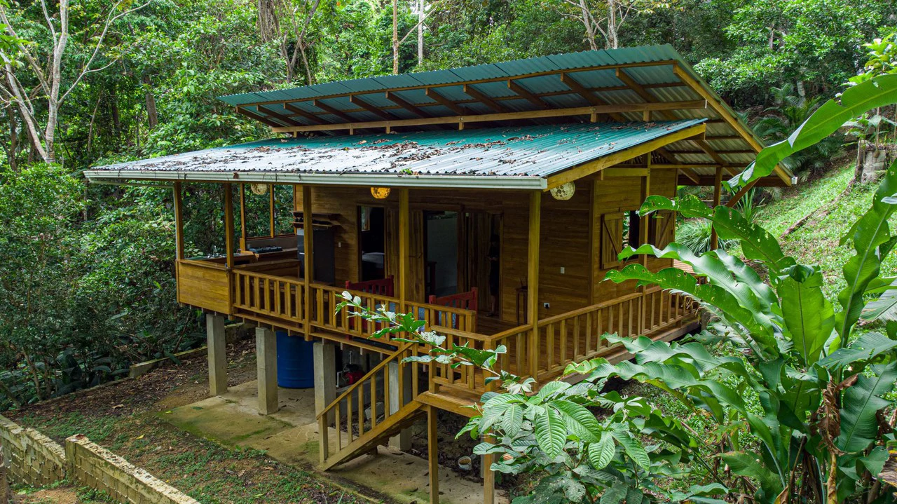 4 Bd/3 Ba - Two Caribbean Homes w/ Pool, on 5000m²: Dual Home Jungle Property in Punta Uva - Gallery image 2