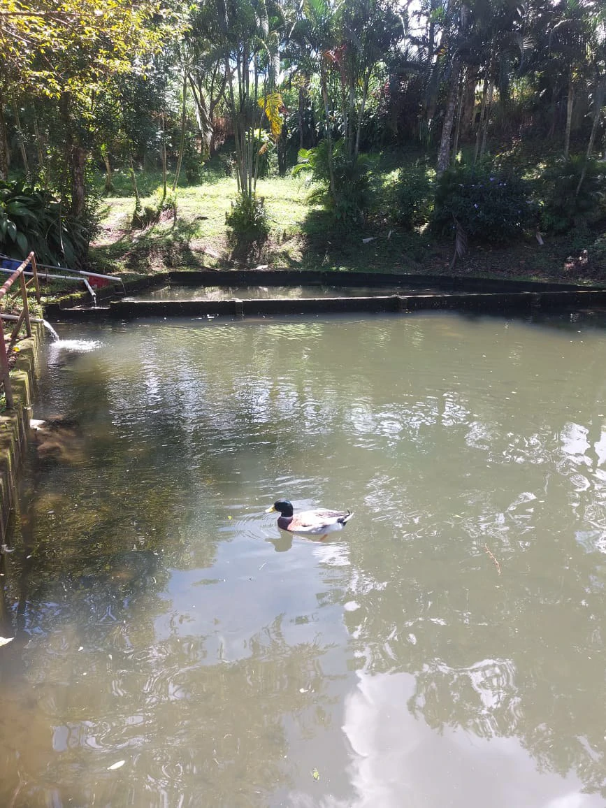 FINCA LA TEJONA - Gallery image 2