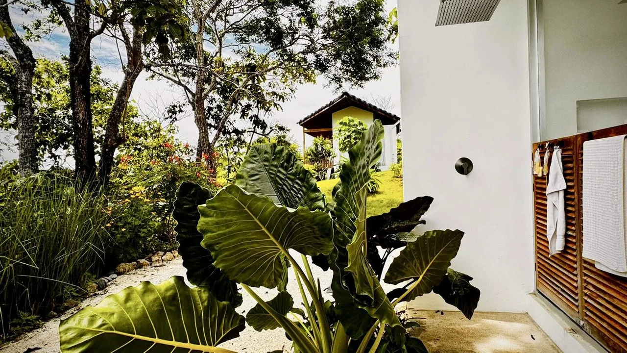 The Ark: $1,390,000 USD Luxury Jungle Estate with Guest House in The Ark Community, Santa Teresa Costa Rica - Gallery image 6