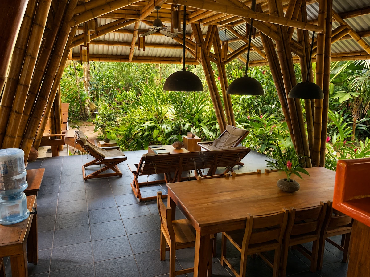 Jungle Beach Exotic Retreat - Gallery image 5