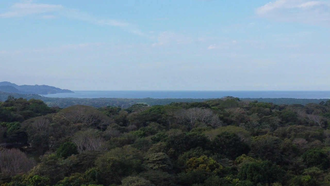 Costa Rica Ocean View 162 Acres -2 Approved Wells - 300+ Lots- 18M+ Upside - Under $5M² - Gallery image 6