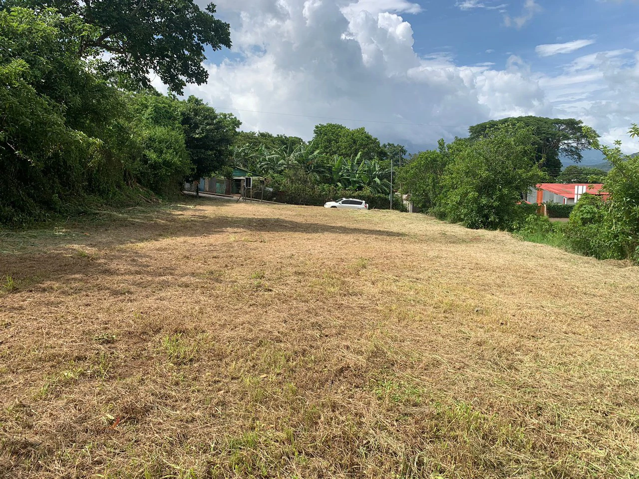 Palmares P440: Terreno Multiuso en Palmares: ¡Ideal para Invertir! - Gallery image 2