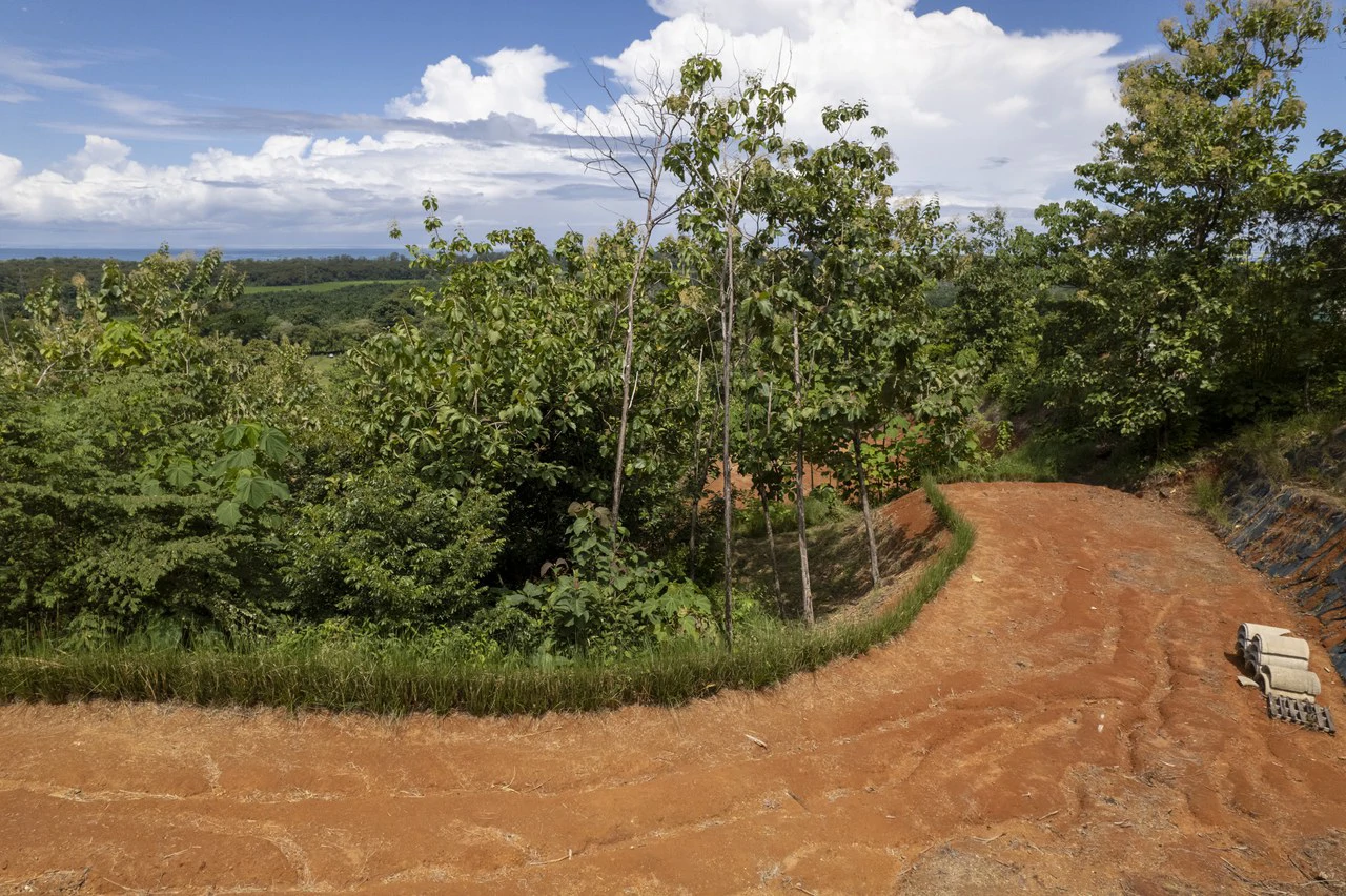 New Gated Development in Matapalo - Ocean View and Flat Land, ready to build! - Gallery image 12