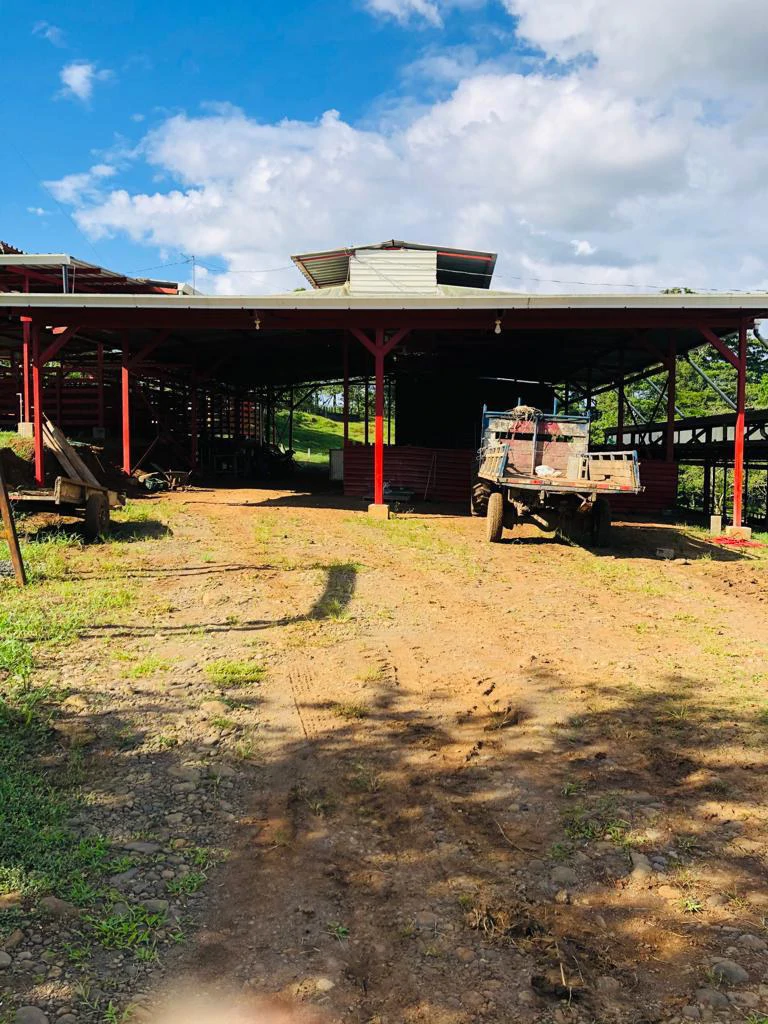Professional Milk Factory for Sale with a big house in the mountains of Bijagua Costa Rica - Gallery image 20