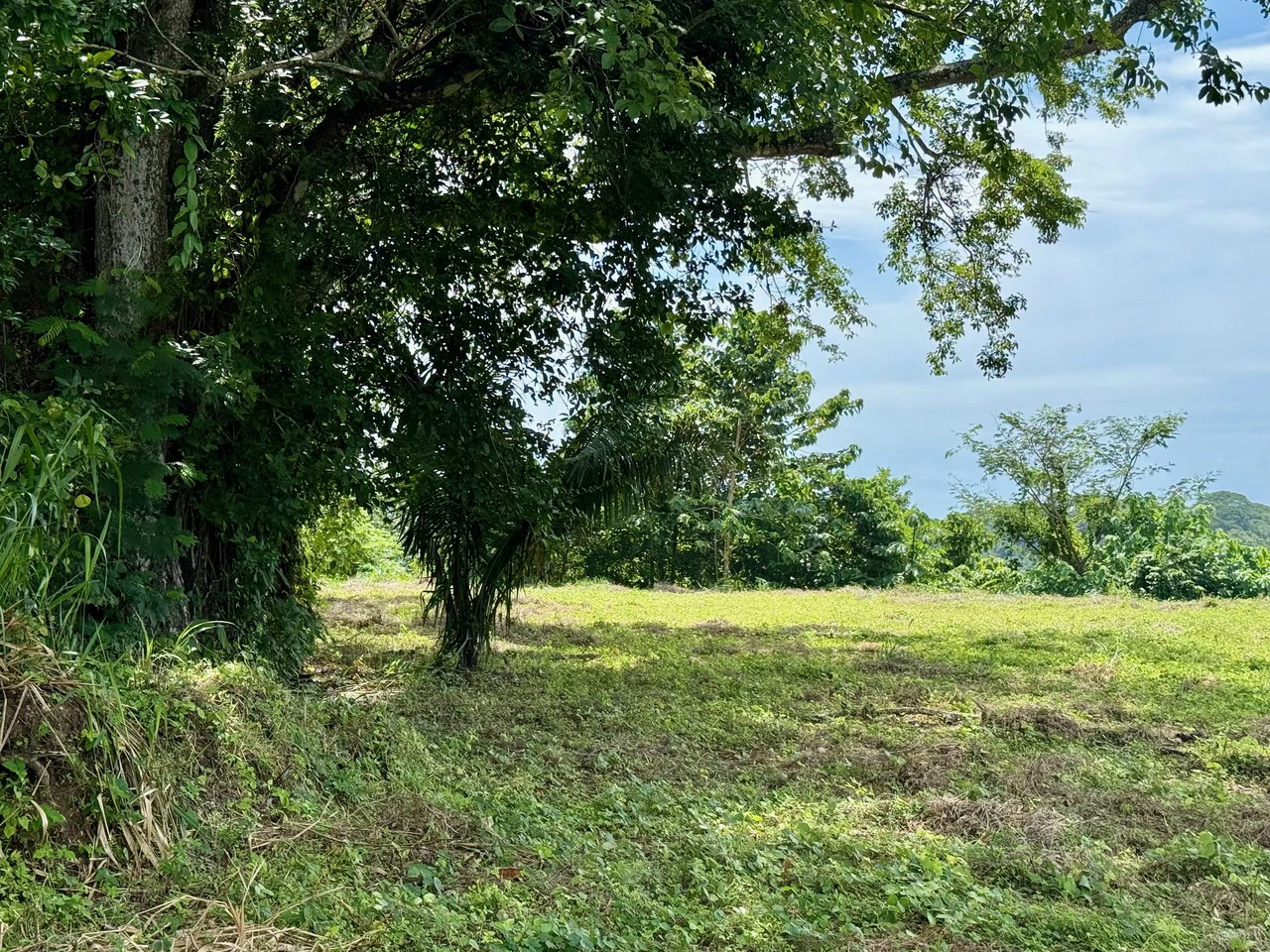 Ocean & Mountain View Property Near Santa Teresa with Impressive Building Platform Surrounded by Jungle: One of a Kind Lot Between Mal Pais and Cabuya - Gallery image 2