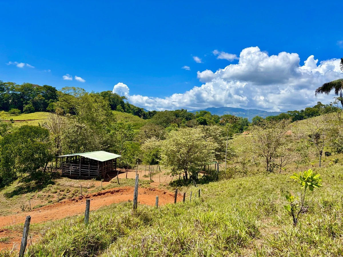 8.77 ACRES – Private Land Just 20 Min to Dominical, Beautiful Mountain Views, Legal Water, Electricity, Public Road, Private Setting, Ready to Build!!!!