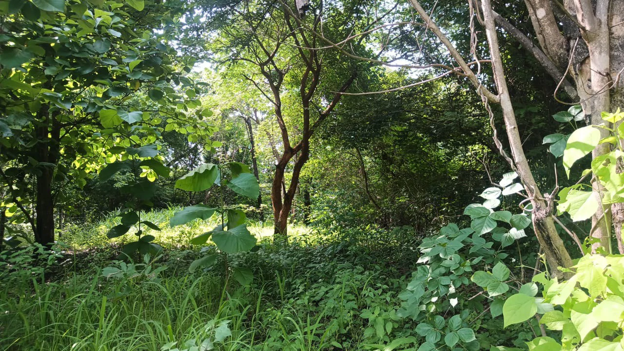 Industrial Property Complex for Sale – Prime Location on Route #21, Just 5 Minutes from Liberia International Airport - Gallery image 11