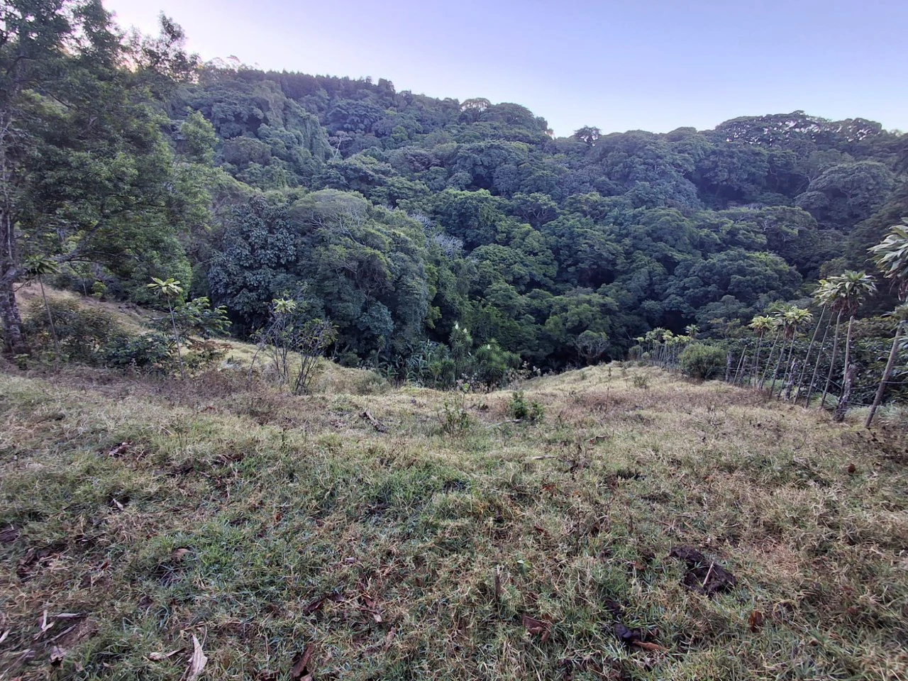 Cafetalero or Developer?: 25,378 m2 with Views of the Central Valley!! - Gallery image 8