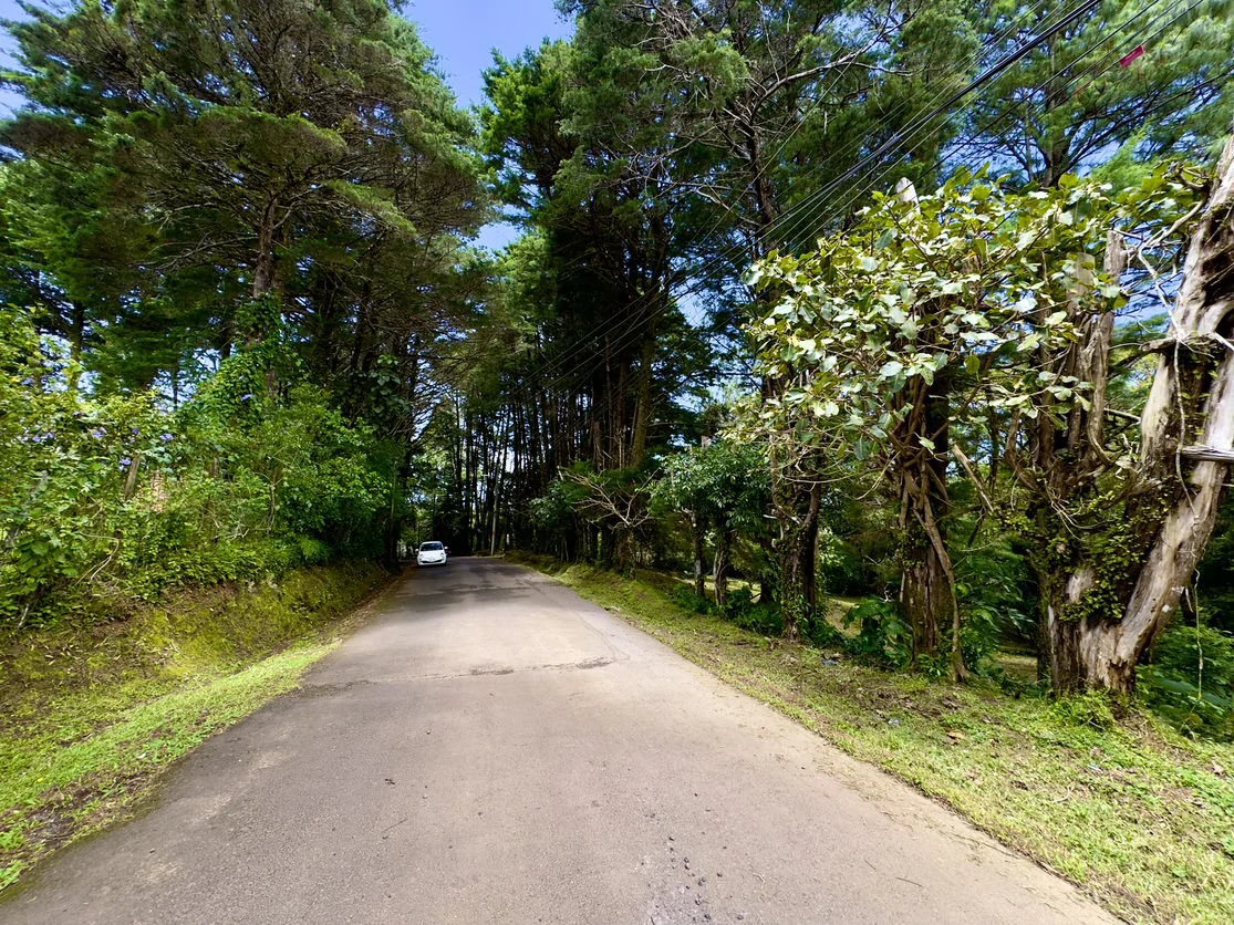 Live in harmony with nature in San Rafael de Heredia - Gallery image 2