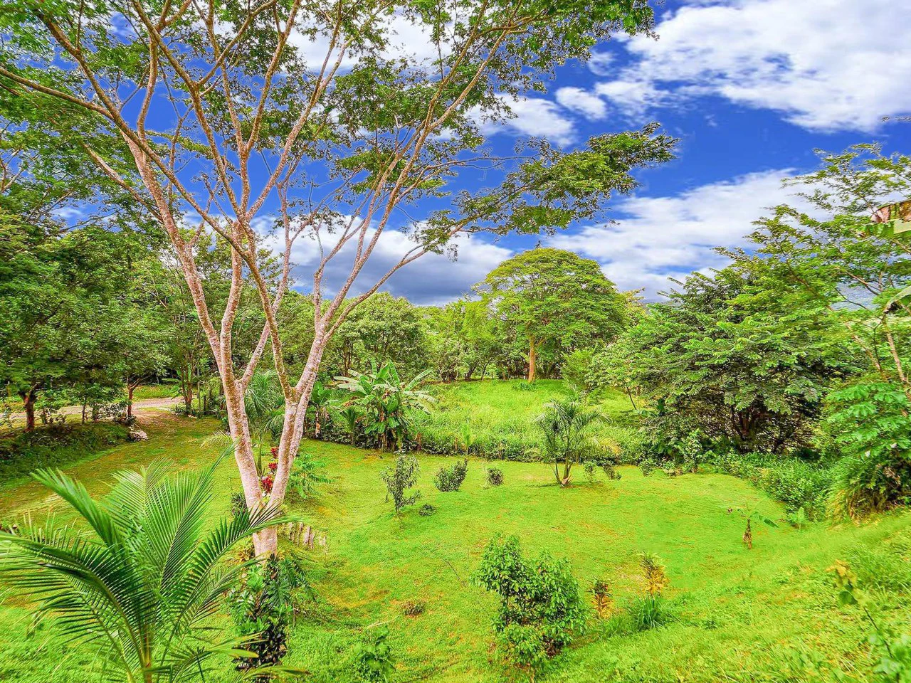 Lote Surfside - Jungle Lot mins to Surf and the River: Countryside Home Construction Site For Sale in Playa Samara - photo 14