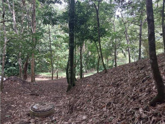 Home Construction Site For Sale in Jacó - Gallery image 7