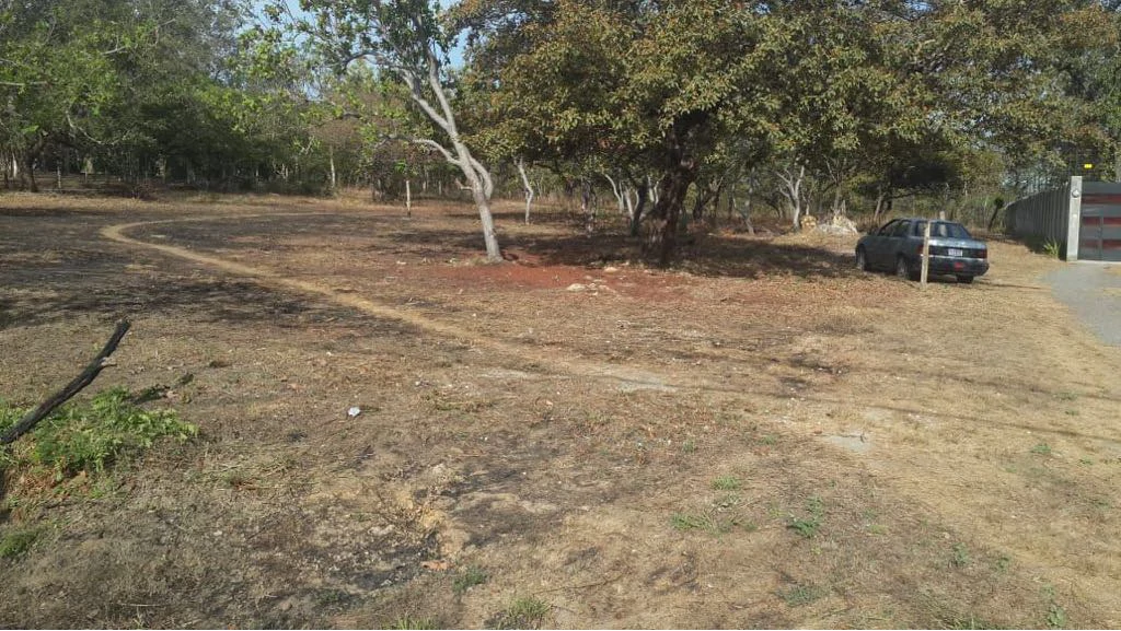 Building lots for sale in Cañas Dulces, flat land in a rural area near Liberia - Gallery image 2