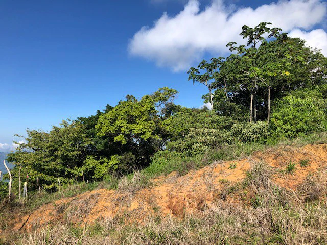 1.24 ACRES – Alto de San Juan, TOP OF THE WORLD VIEWS, Cool Breezes, Ready to Build Your Dream!!!!!: Mountain Development Parcel For Sale in Alto San Juan - Gallery image 16