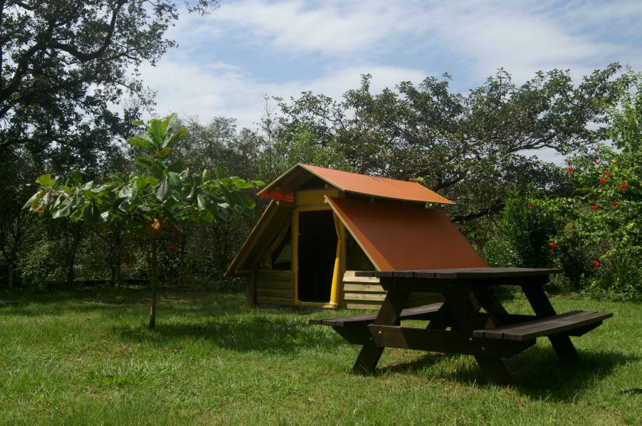 Small Mountain Hotel with camp ground: Charming B&B for Sale in the Mountains of Curubandé, Guanacaste – Nature, Tranquility, and Profitability in One Place. - Gallery image 13
