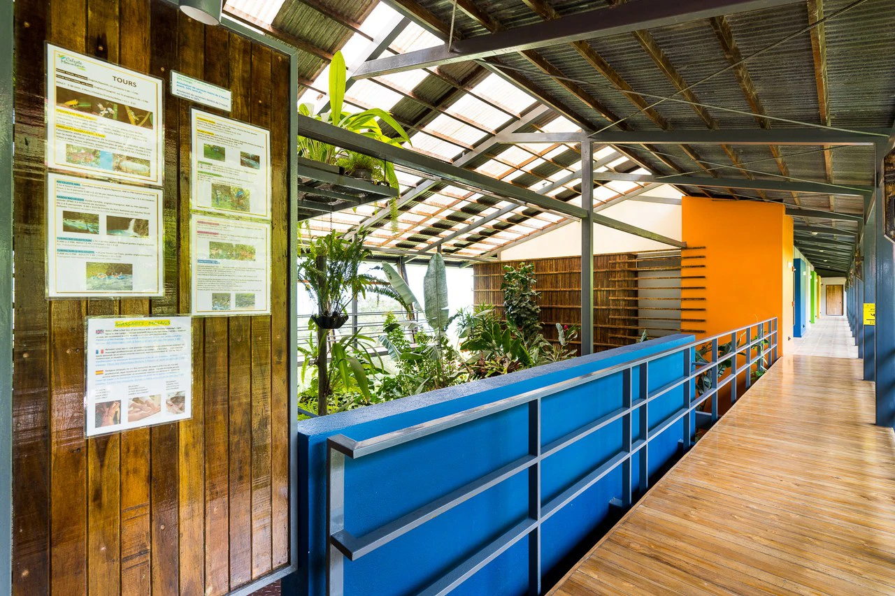 Celeste Mountain Lodge: Mountain Hotel/Resort/Hostel For Sale in Bijagua - Gallery image 49
