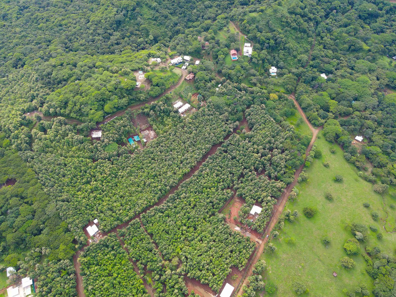 Finca Montecito: Ocean View Development Finca in Playa Avellanas - Gallery image 9