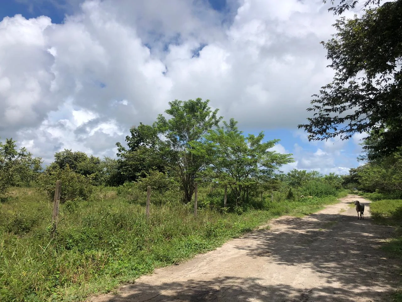 Development property for sale, Building project opportunity close to Liberia Airport and City with beautiful Flat property - Gallery image 4