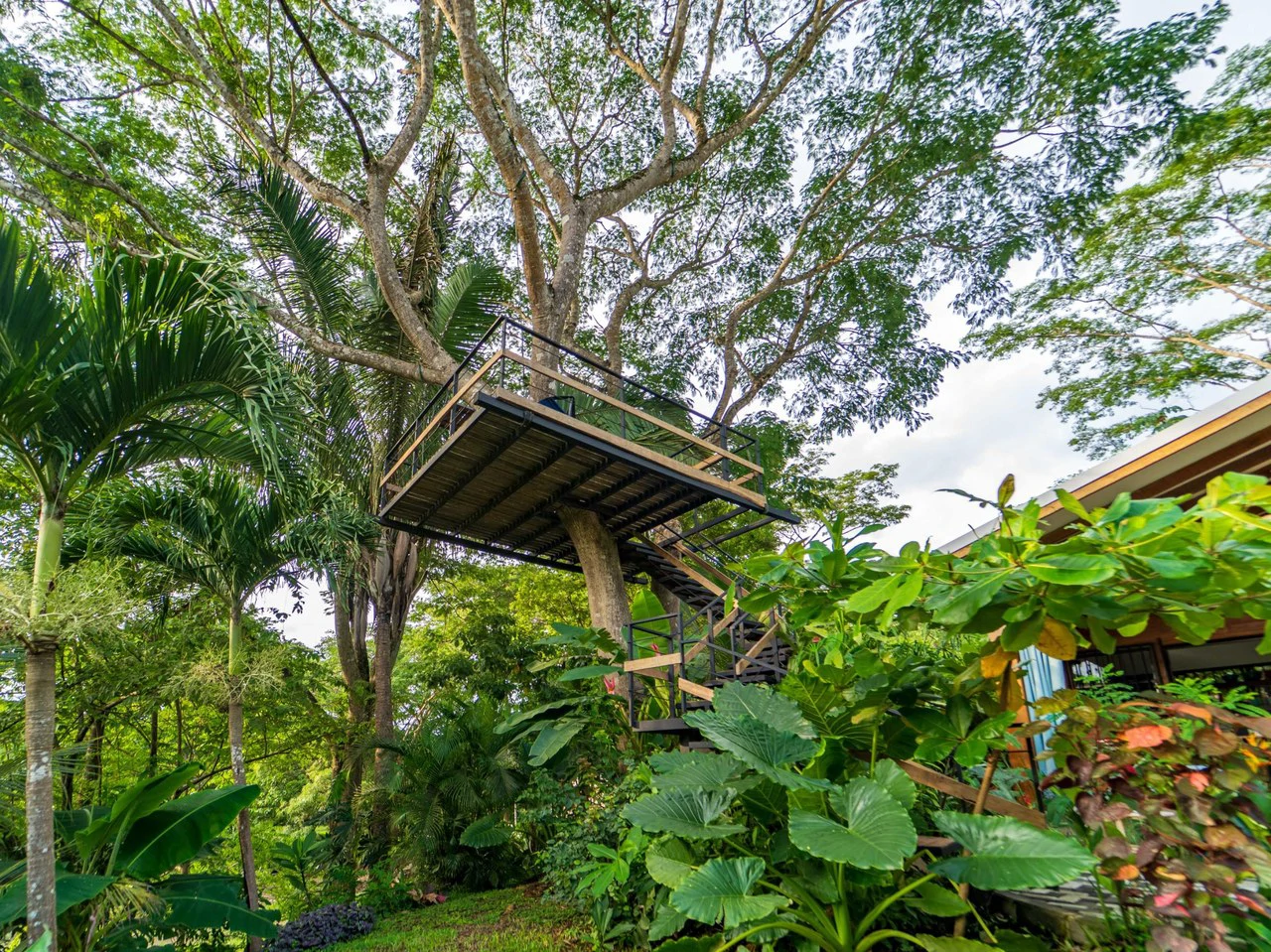 Casa Arboles - 2BR Successful Airbnb Home: Countryside House For Sale in Playa Samara - Gallery image 5