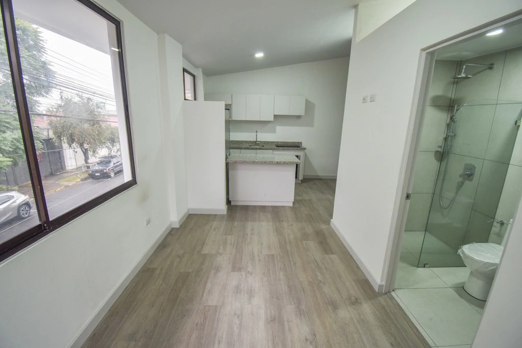 Apartamento con Línea Blanca de 1 Habitación en Barrio Escalante: Apartment For Sale in Barrio Escalante - Gallery image 12
