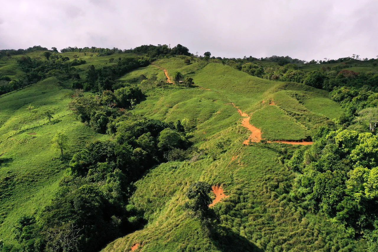 150 Acre Cattle Ranch with Panoramic Views Above the mountains of Uvita - Gallery image 16