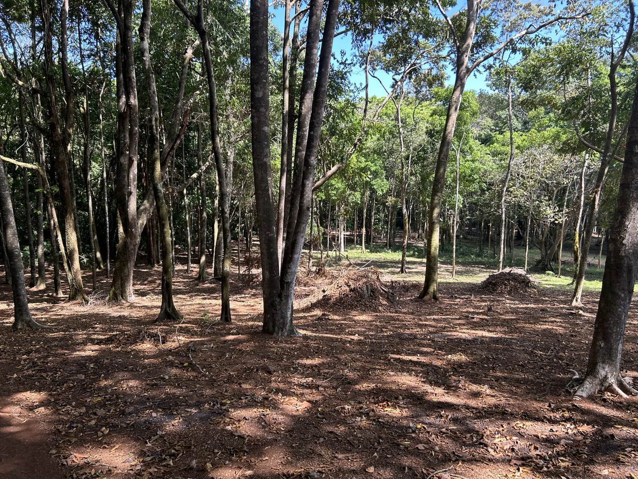 Cabo Matapalo:  3.8 Acre Ocean View Lot In Peninsula De Osa, Golfo Dulce - Gallery image 14