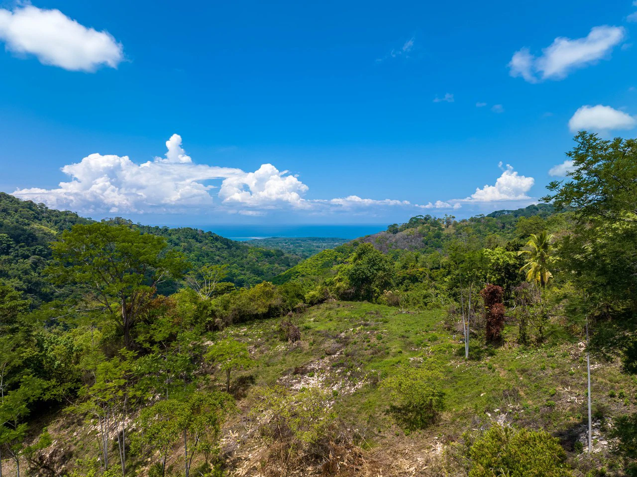 101 Acre Waterfall Riverfront and Ocean View Farm in Playa Uvita - Gallery image 13
