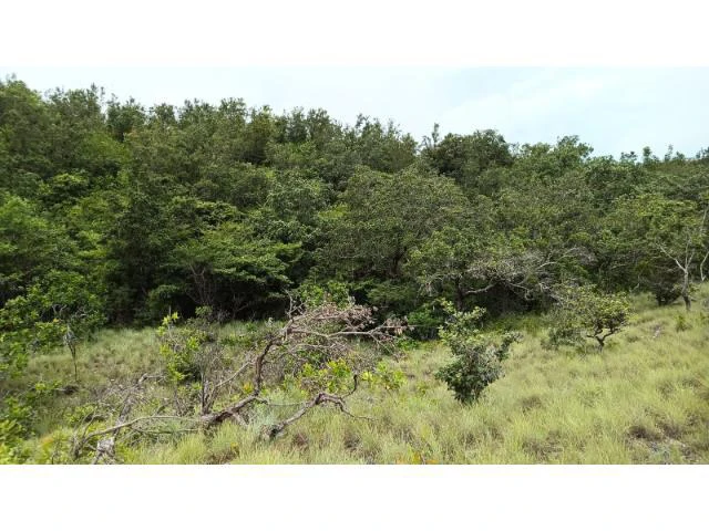 Huge Tico-Farm for sale with a big house in the mountains of Liberia, surrounded by nature and fantastic valley views - Gallery image 30