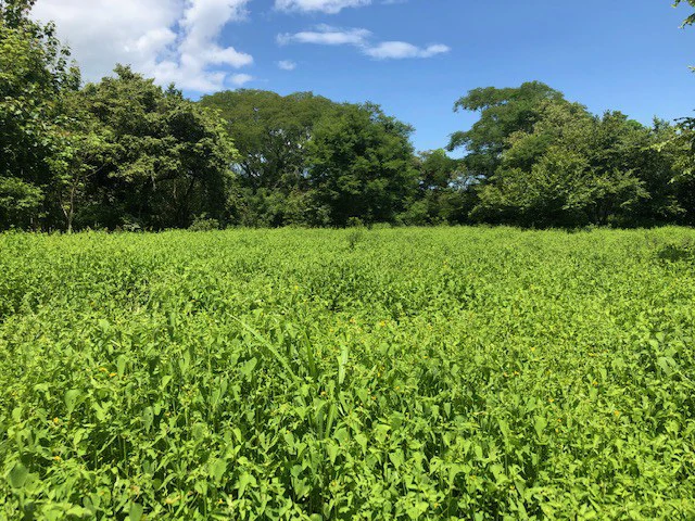 Amazing 50% discount for Huge ocean-view farm for sale surrounded by soft rolling hills and pristine nature - Gallery image 29