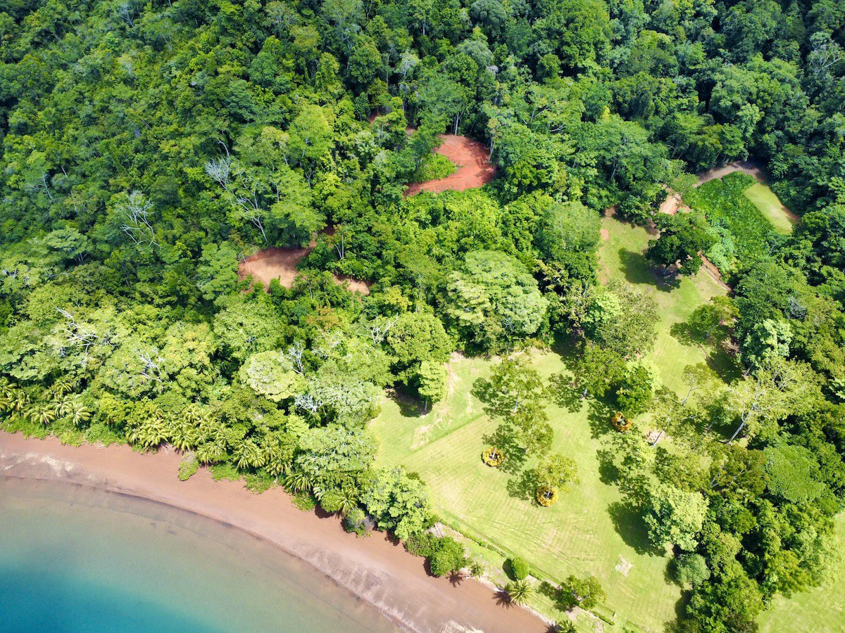 Spectacular Coastal Rainforest Estate Property - Gallery image 2