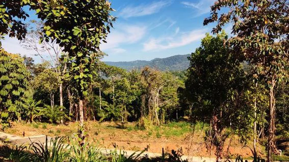 Near the Coast and Mountain Home Construction Site For Sale in Bahía Ballena - Gallery image 3