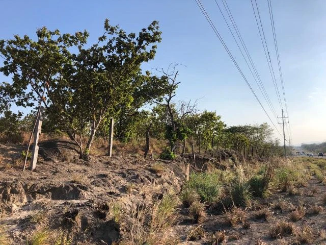 Commercial Property for sale, Located directly in front of the national Route #21 and Diagonal from the new project NYA - Gallery image 5