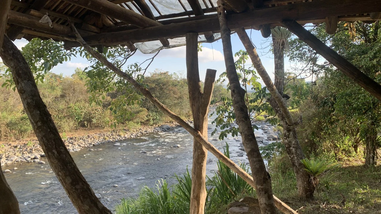 Talari Hotel: Nature and Bird Lover's Paradise - Mountain Lodge - Gallery image 36