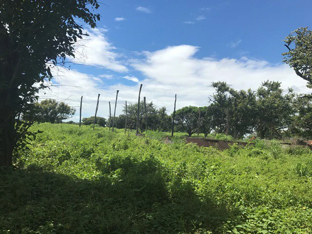 Large Development Land for Sale in Liberia, Guanacaste, Costa Rica - Gallery image 21