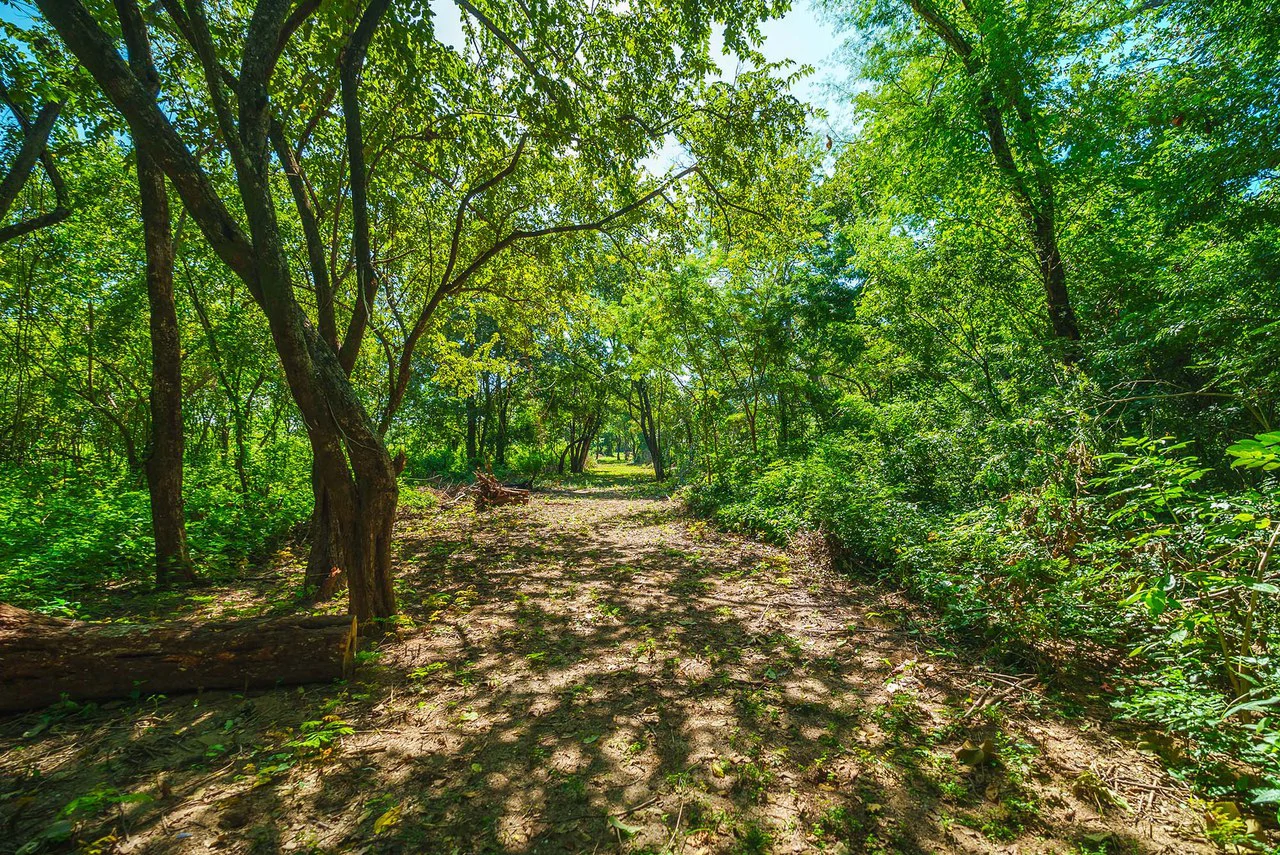 Playa Grande Beachfront Development Property - Gallery image 20