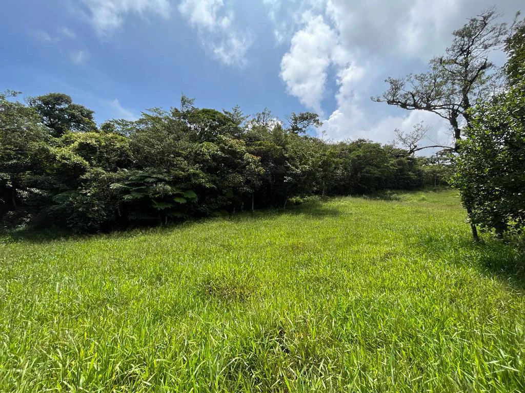 Fantastic property near Biological Reserve - Gallery image 24