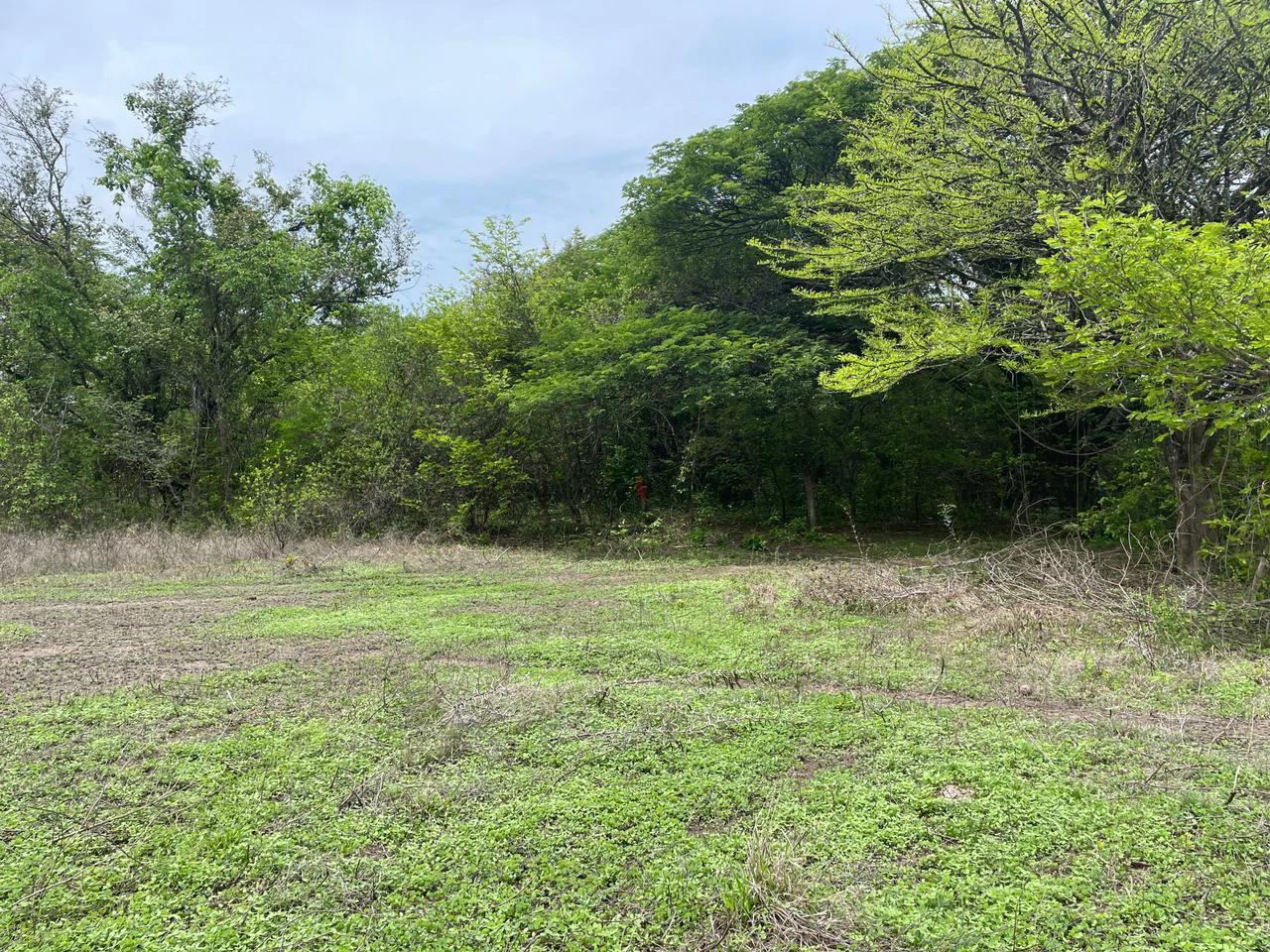 BEST PRICE! For sale comercial Property for warehouses or free zone, 1 km from Liberia Airport, Guanacaste, CR - Gallery image 6